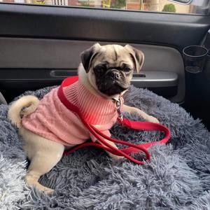 Meet your Posher, Charmaine